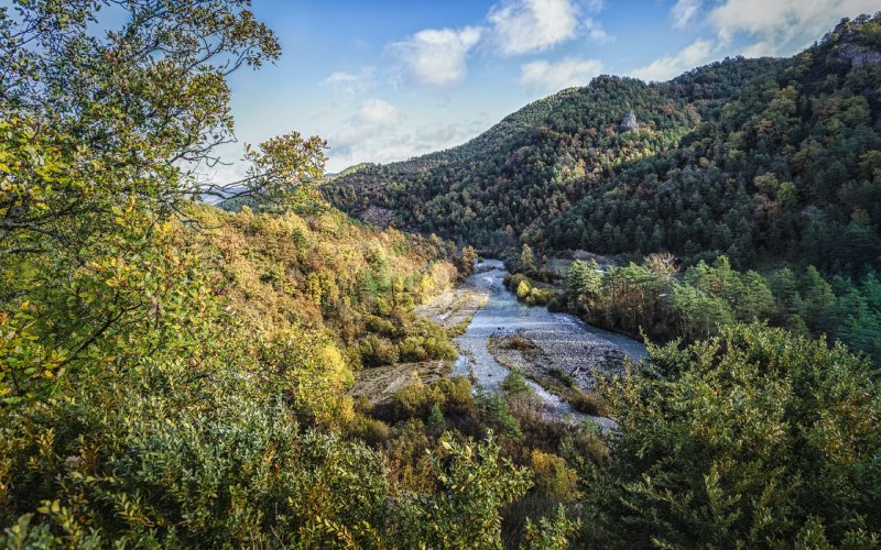 Imagen del bosque en Ansó, rodeando el cauce del río.