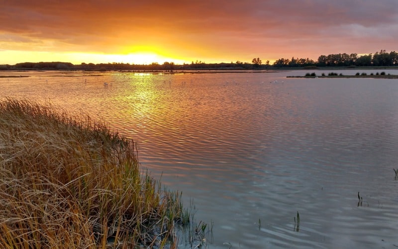Marismas de Huelva. | Shutterstock