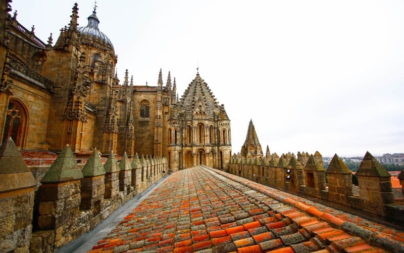 Parte superior de la Catedral Vieja, Salamanca