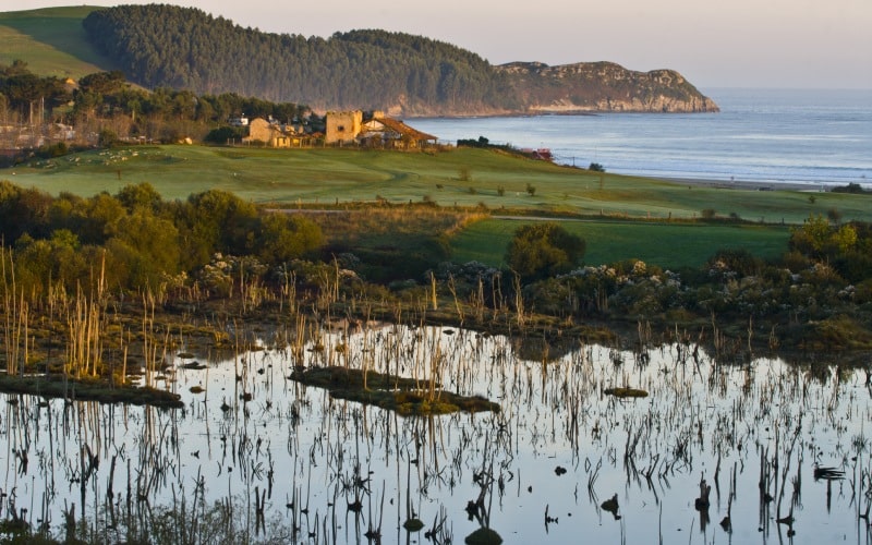 Parque Natural de Oyambre, Cantabria