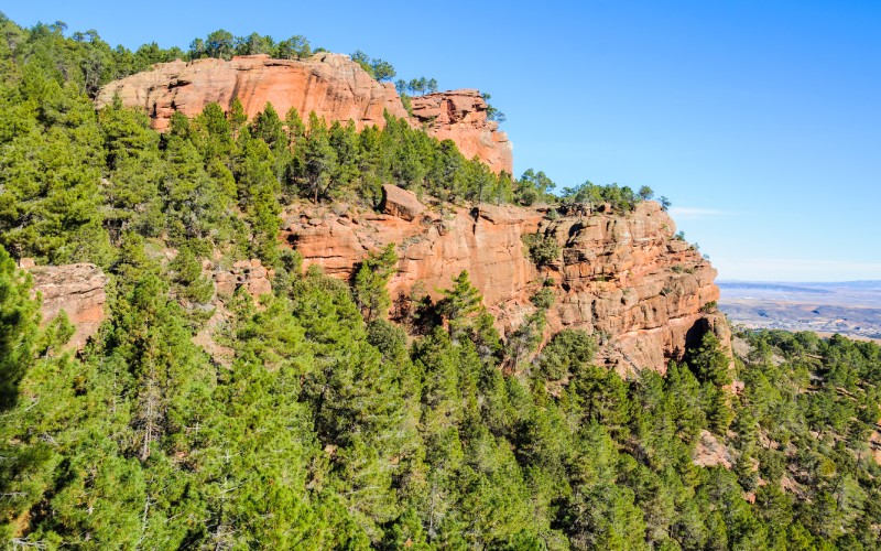 Pinares del Rodeno, Aragón