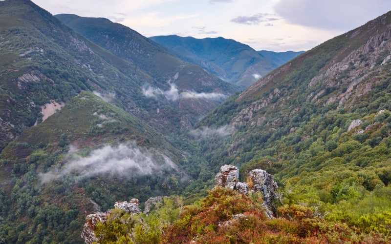 Reserva Natural Integral de Muniellos, Asturias