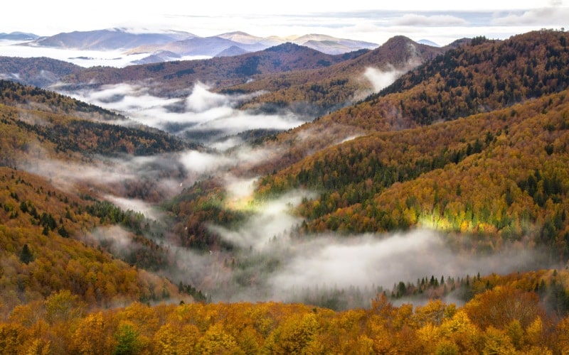 Selva de Irati, Navarra