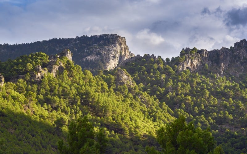 Sierra de las Nieves, Andalucia