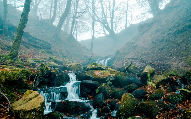 Ruta a la cascada de Belaustegi, Euskadi