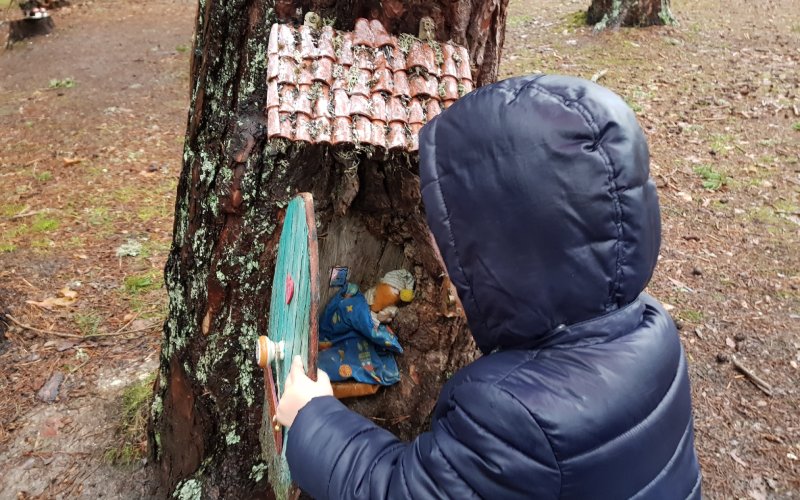 Uno de los muchos secretos de este bosque mágico