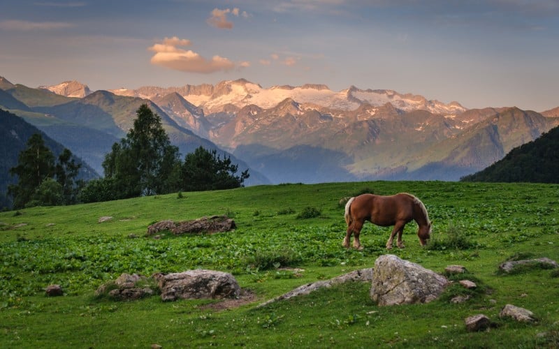 Amanecer en la Sierra de la Maladeta y Aneto, visto desde el valle de Varradós