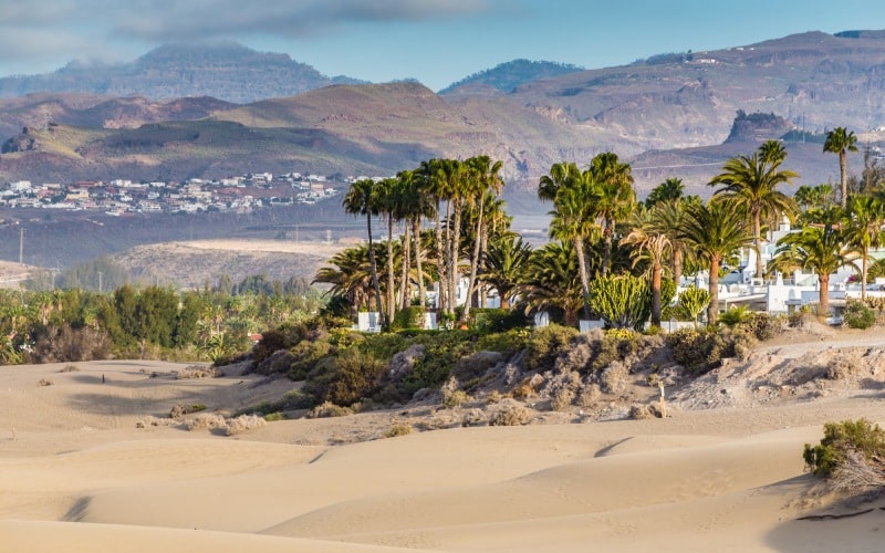 Oasis de Maspalomas