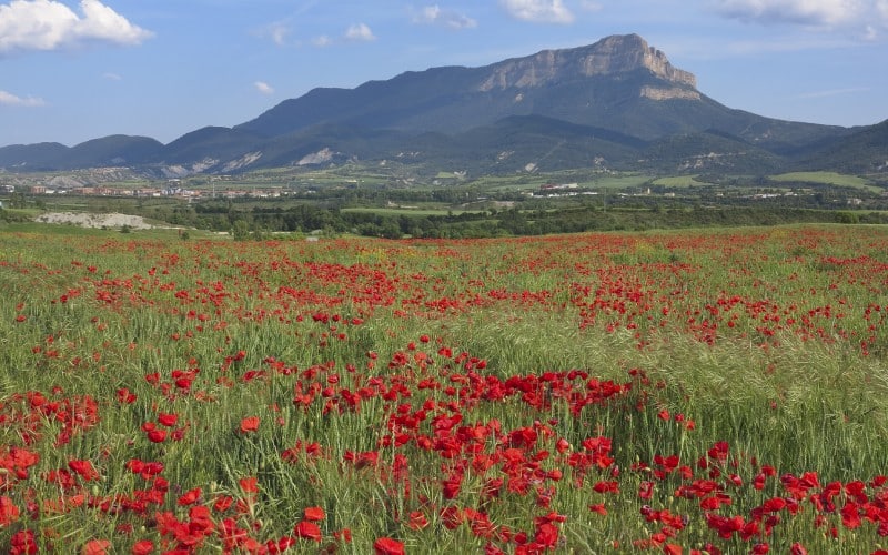 Paisaje de la Peña Oroel