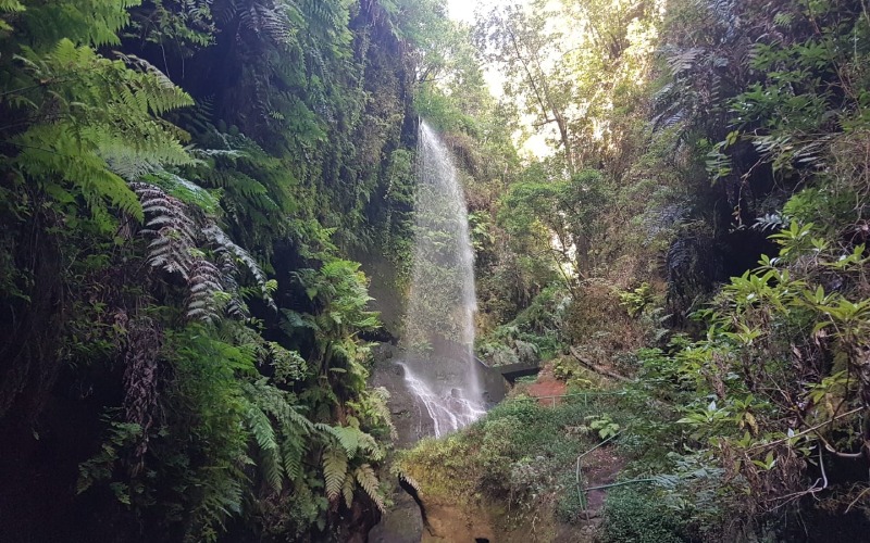Cascada de los nacientes de Marcos y Cordero