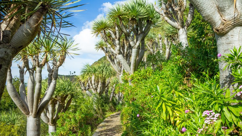 Esta imagen de Gran Canaria podría servir para ilustrar el paraíso griego