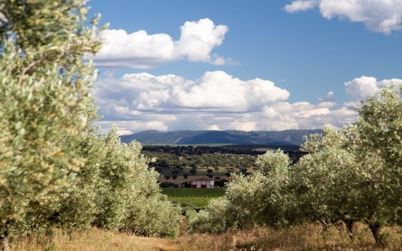 La finca se encuentra en un entorno único