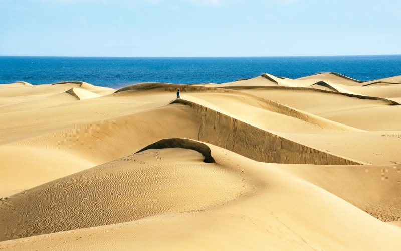 Las Dunas de Maspalomas