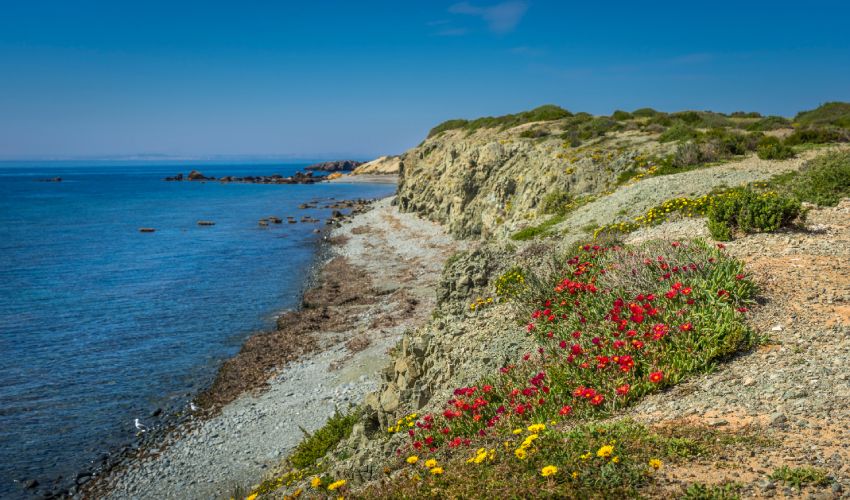 Costa de Nueva Tabarca