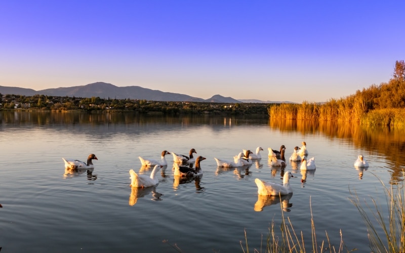 Embalse de Cazalegas