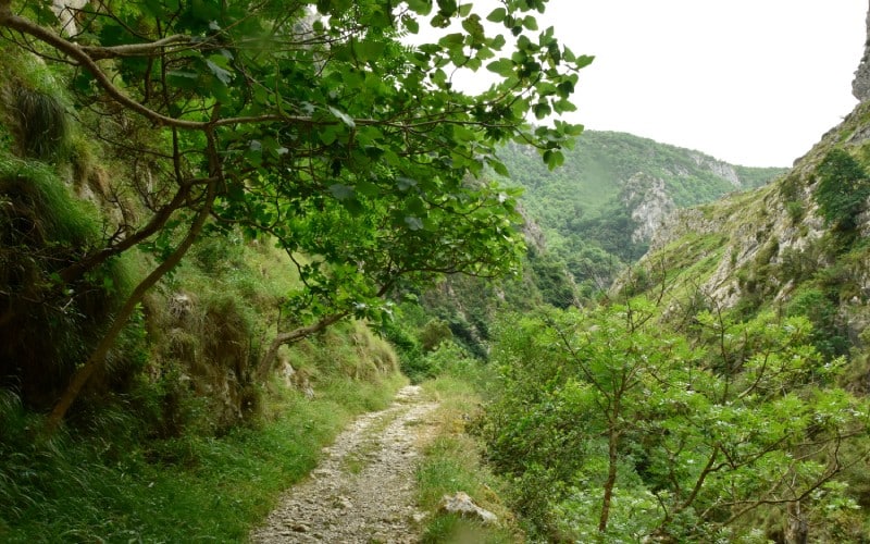 Una de imágenes de las que pueden disfrutarse en esta ruta entre pueblo y río