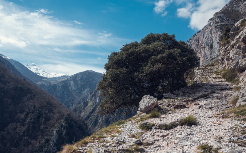 La ruta Tresviso-Urdón es una de las preferidas por los amantes de la montaña