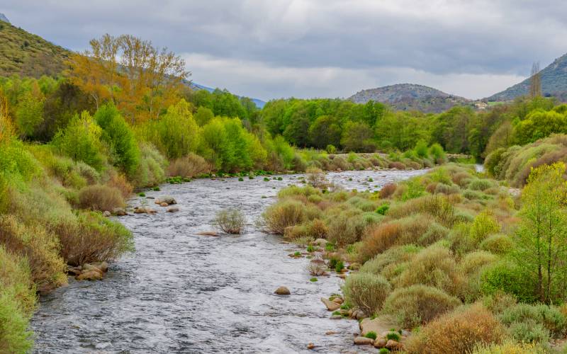 Río Tormes a su paso por Ávila