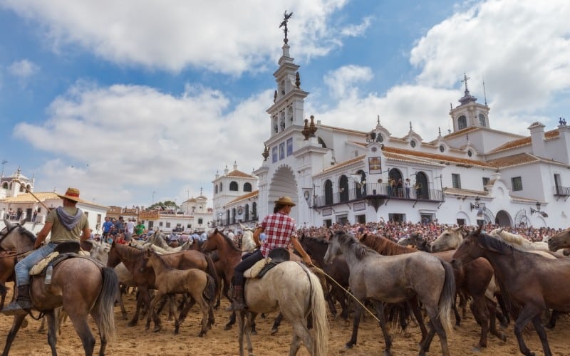 El acontecimiento andaluz de las Sacas de la Yegua
