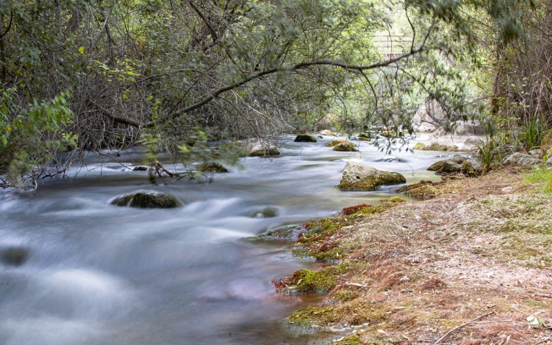 Otra perspectiva del río Castril