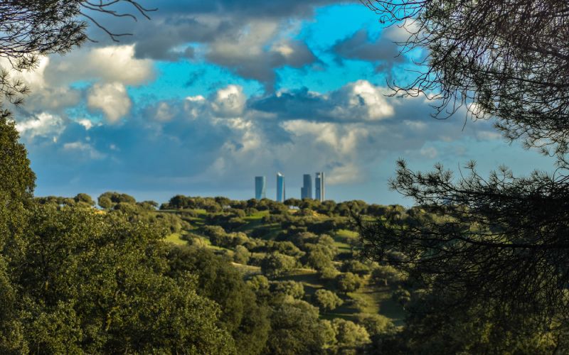 Vistas de Madrid desde El Pardo