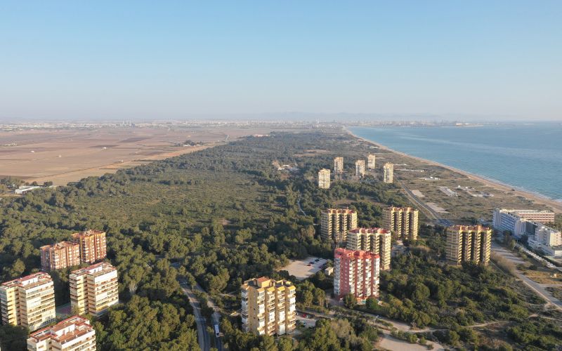 La Dehesa de Saler en Valencia