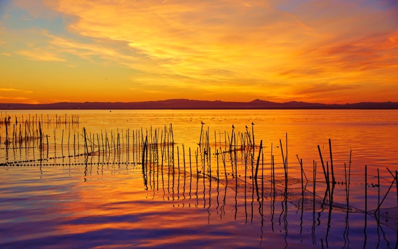 Puesta de sol en la Albufera de Valencia