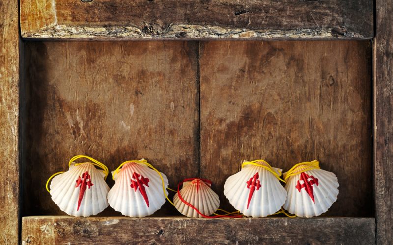 Las conchas se decoran hoy en día con la cruz de Santiago