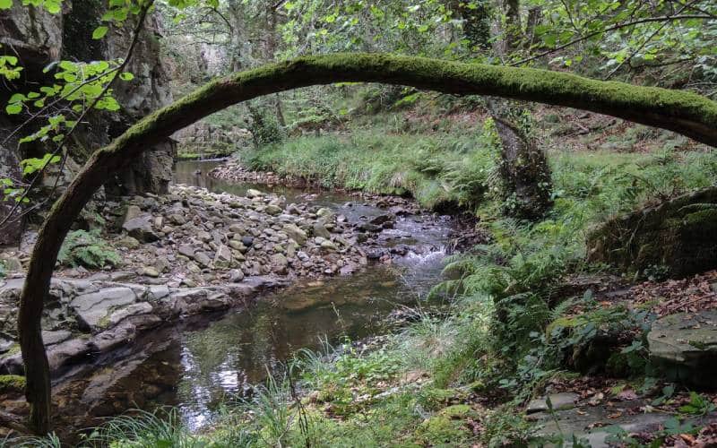 Aproximación al río Porcía