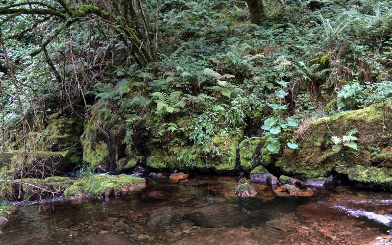 Tramo de la ruta hacia la cascada del Cioyo