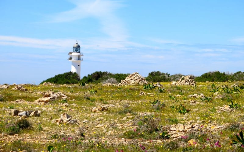 Vista del Cabo de Barbaria con el faro al fondo