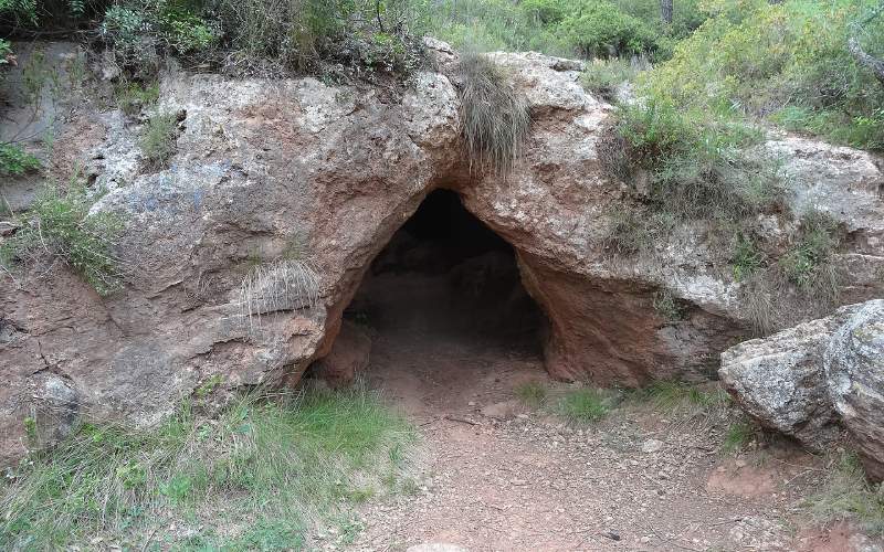 Cova del Bolet