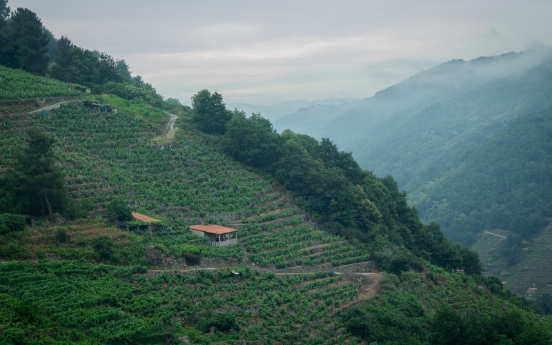 Los montes de Lugo