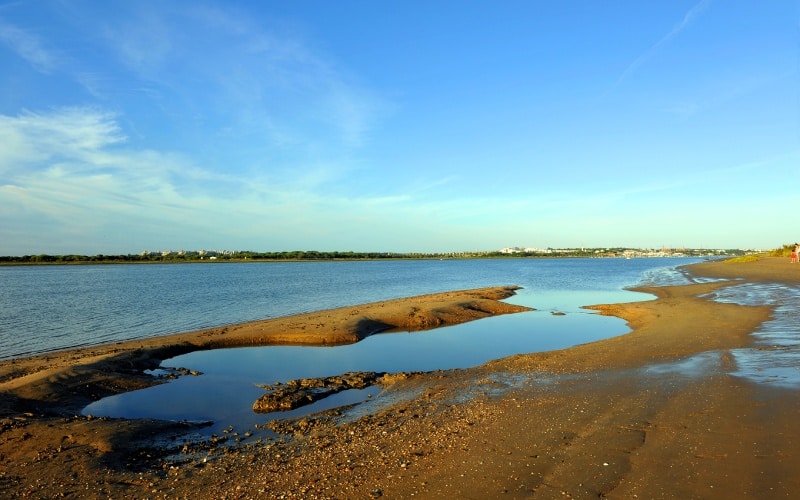 Paraje Natural Marismas del Río Piedras y Flecha de El Rompido