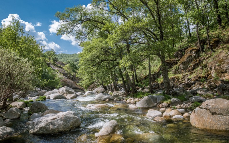 Entorno del valle del Jerte