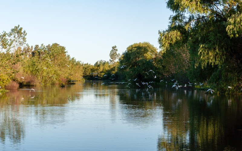 río de la Plata