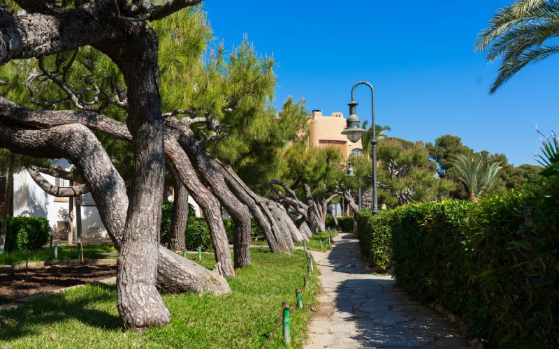 Passeig de la Ribera Roc de Sant Gaietà