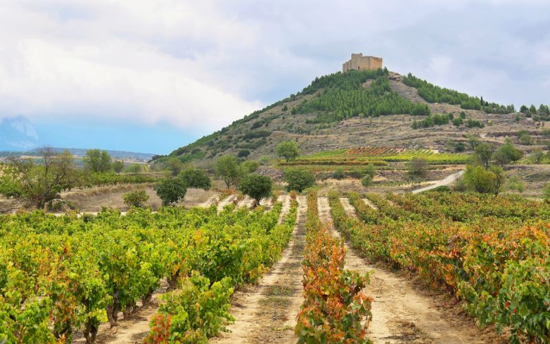 Castillo de Davalillo entre viñedos