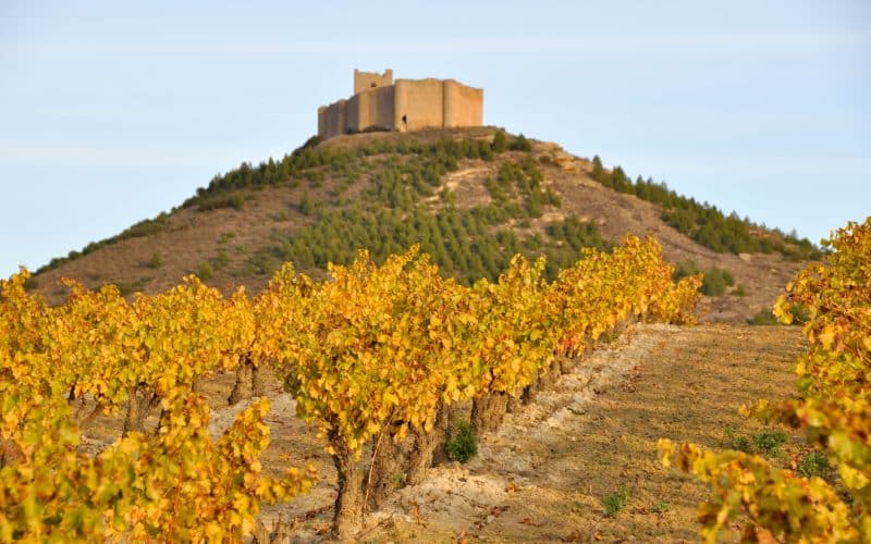 castillo de Davalillo
