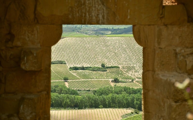 Puerta principal del castillo de Davalillo
