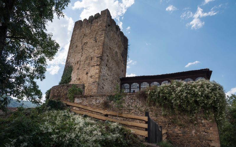 Vista de la torre señorial de Mogrovejo