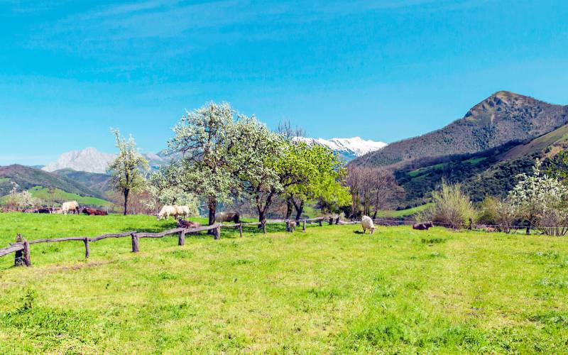 Entorno natural en el que se ubica la aldea de Mogrovejo