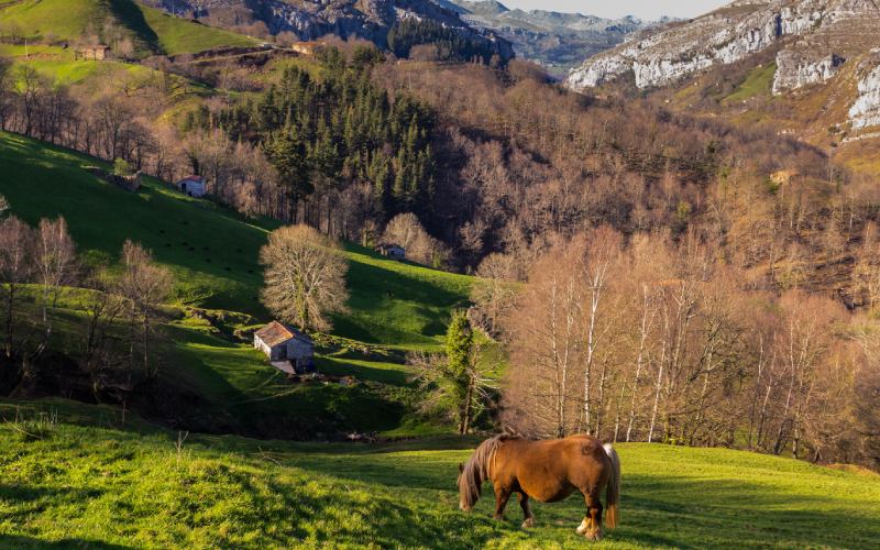 Valles pasiegos Cantabria