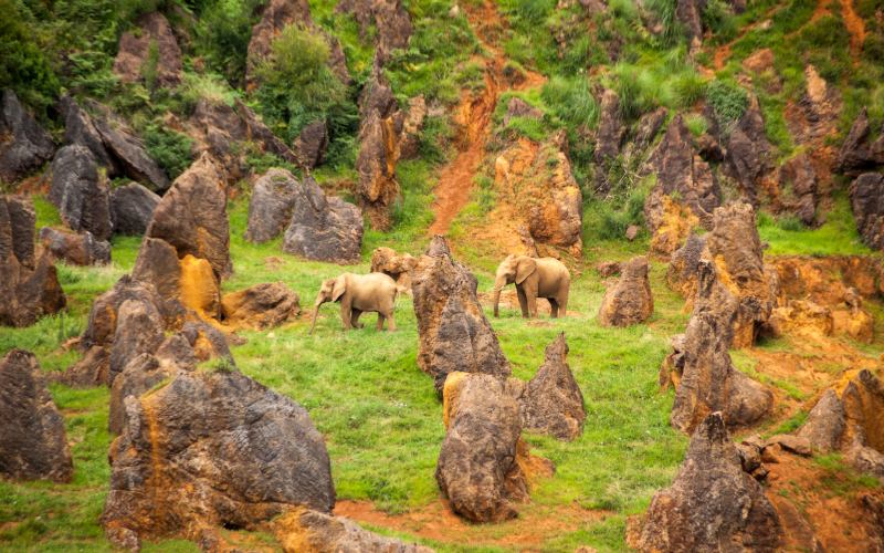 Parque de la Naturaleza de Cabárceno