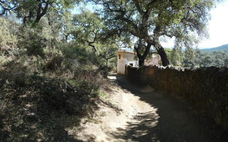 Sendero para llegar a El Calabacino