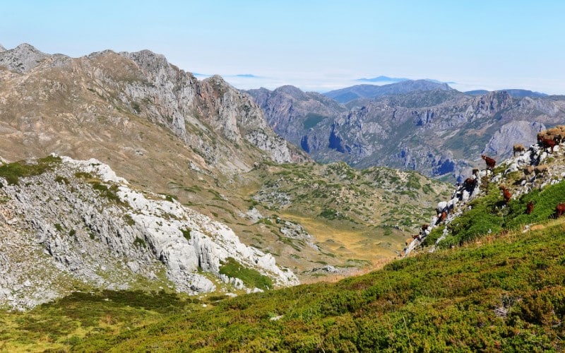 Andar por estas montañas de Babia y por las Reservas de la Biosfera de León, en general, es un lujo