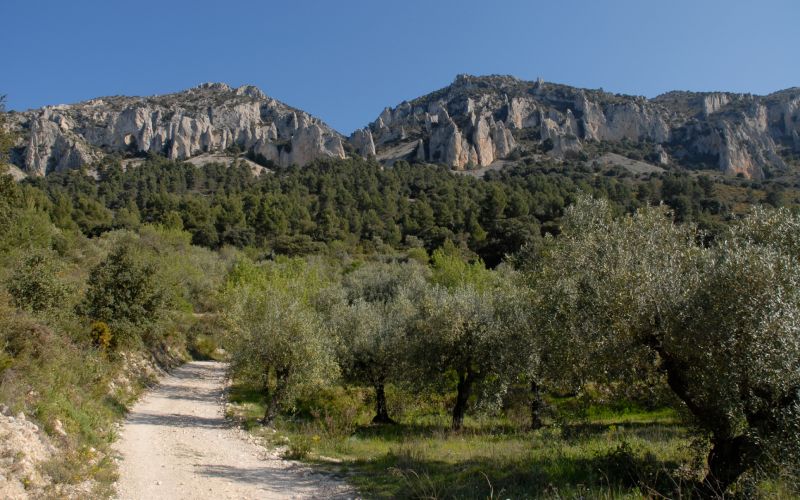 Camino en la sierra Serrella