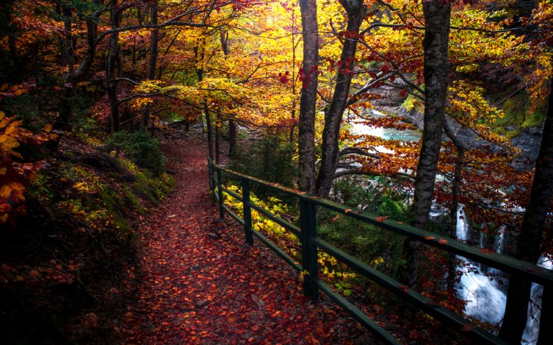 Otoño es la época más adecuada para visitar el Valle de Ordesa por este tipo de estampas