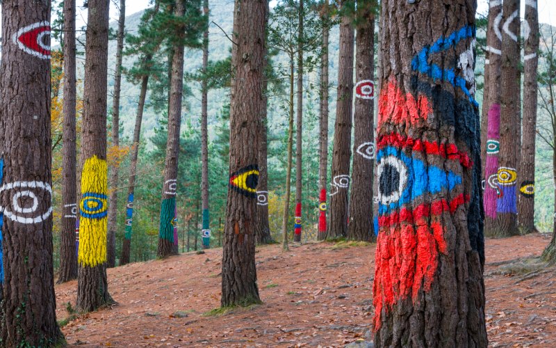 Bosque de Oma y sus bellas pinturas