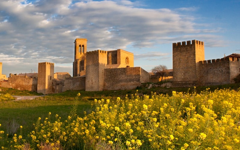 El Cerco en Artajona